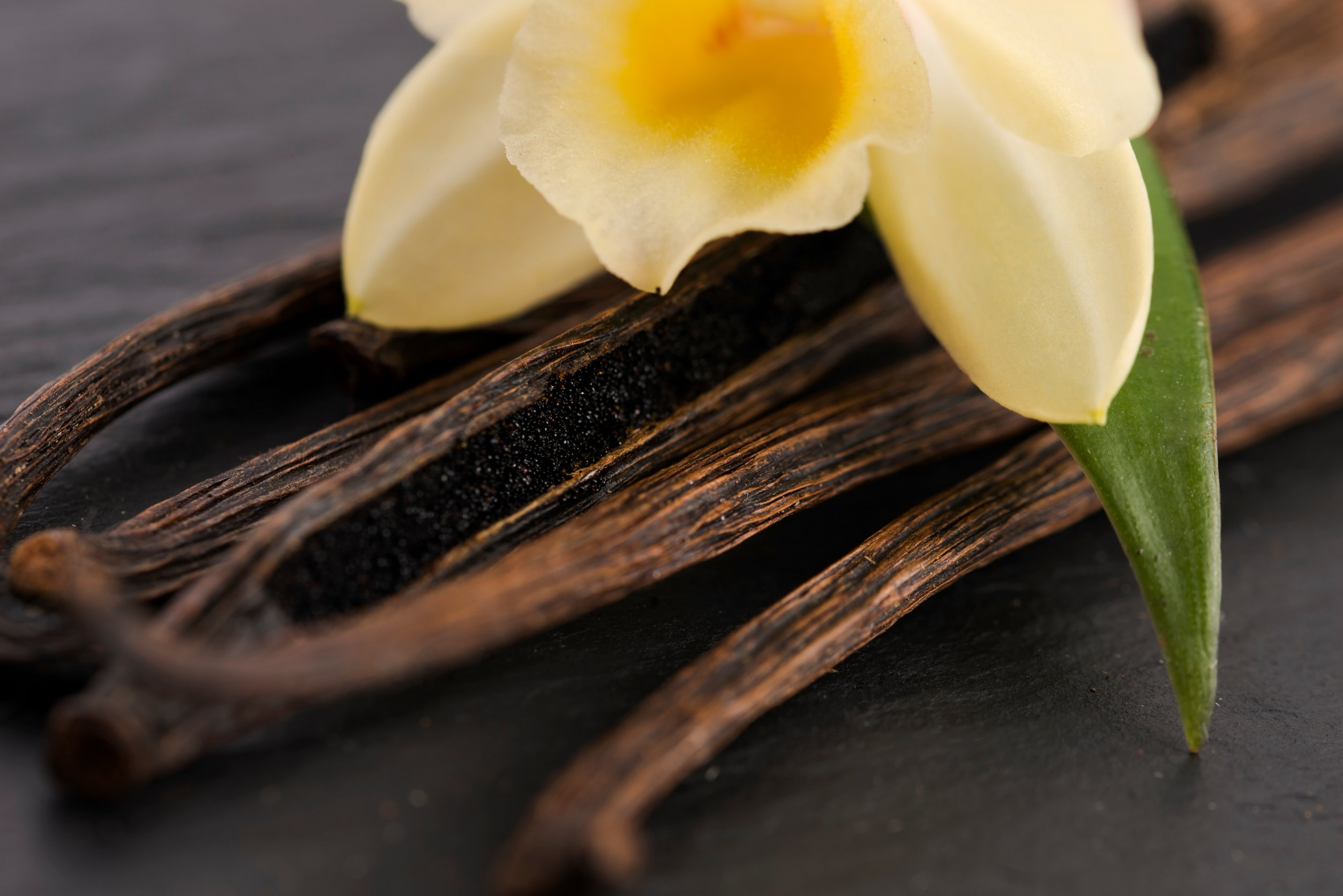 Vanilla pods with flower